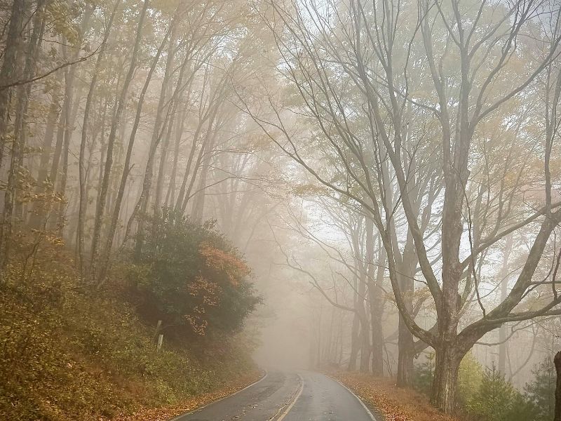 Foggy Autumn Road in North Carolina