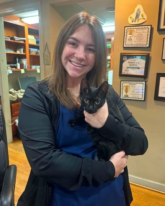 a vet staff holding a wide-eyed black cat